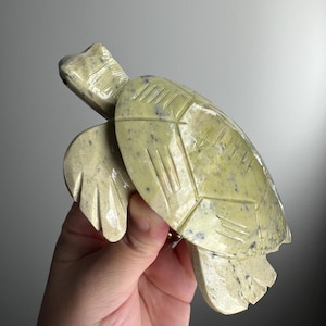 Serpentine Turtle ~ Turtle Carving ~  Serpentine Crystal ~ Crystal Carving ~ Crystal Gift