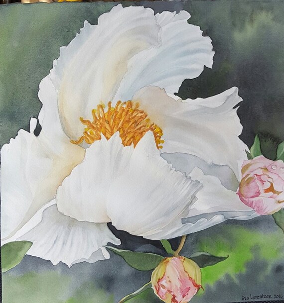 Simple White Peony