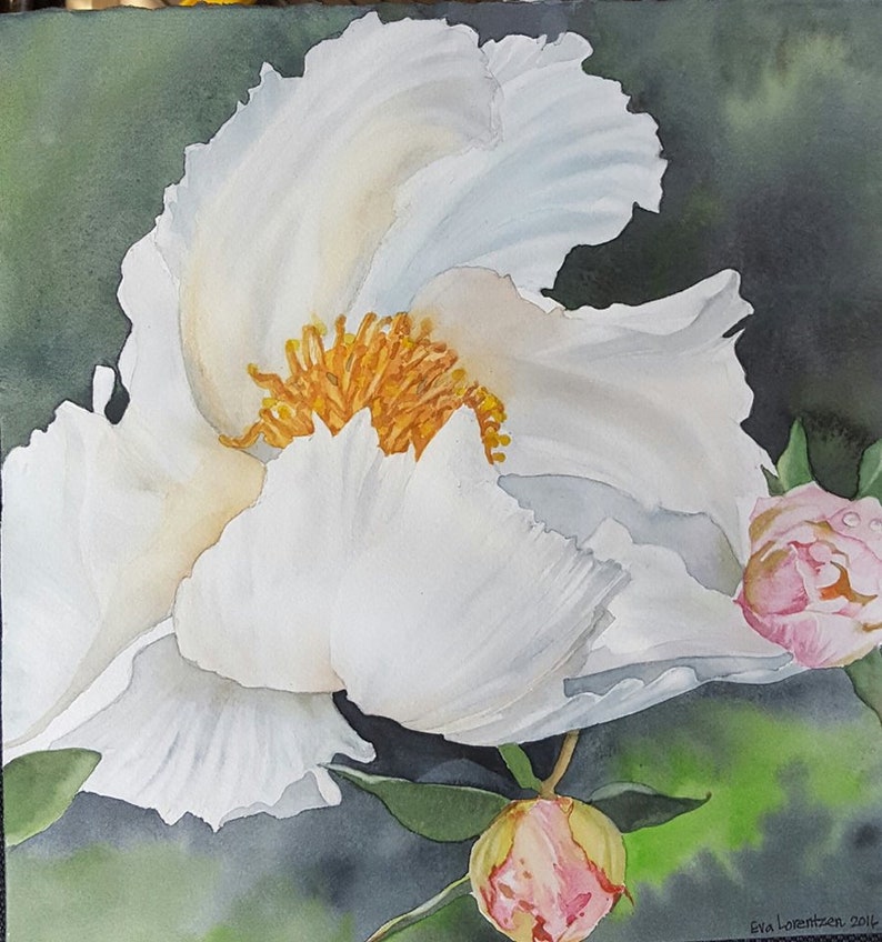 Simple White Peony