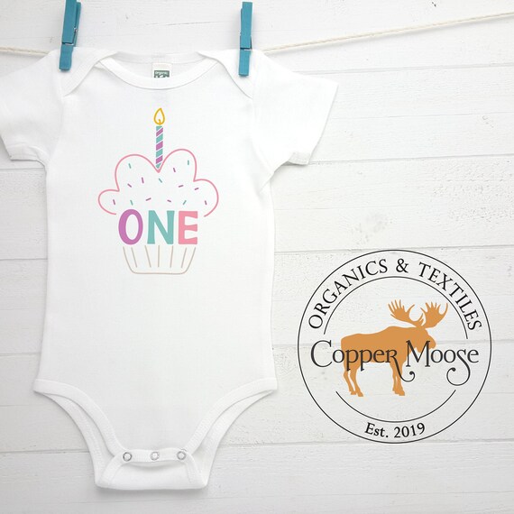 Birthday Onesie First Birthday It s My First Birthday 1st