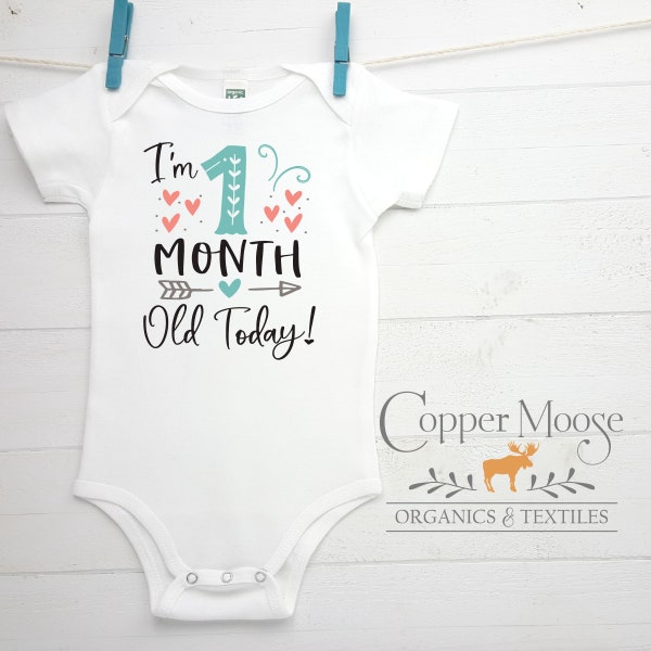 One Month Birthday Onesie®, Organic Baby Clothes, Month Birthday Bodysuit, Month Birthday Onesie®, Month Birthday, One Month Old Onesie®