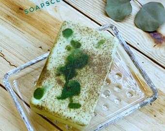 Eucalyptus Soap Bar | Large Soap | Homeopathic | All Natural | Glycerin Soap | Made in USA | Natural skincare | Aromatherapy | Herbal Soaps