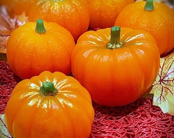 Pumpkin Spice Soap Bars 3 sizes |Handmade | Pumpkin Patch | Autumn Vibes | Fall Unique Gifts | Luxurious | Bathtime | Pumpkin Season Gifts