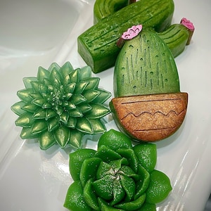 Succulent Glycerin Soaps Bar | Catus and Succulent Soaps | Handmade | Unique Gifts | Natural | Favor | Bathtime | Plant Lover Botanicals