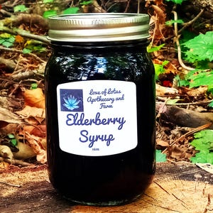 Elderberry Syrup - Pleasant and Slightly Sweet - Organic Ingredients - Pure as Mother Gaia Made