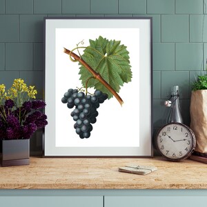 Grape Art | Instant Download | Grapes Kitchen Decor