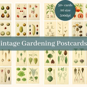Fruit Notecards Printable | Vintage Garten Postkarten