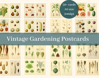 Vintage Gardening Postcards | Fruit Vegetable Notecards Printable