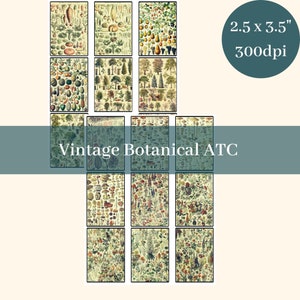 Botanical Ephemera | Vintage Botanical ATC | Botanical Artist Trading Cards | Floral Artist Trading Cards