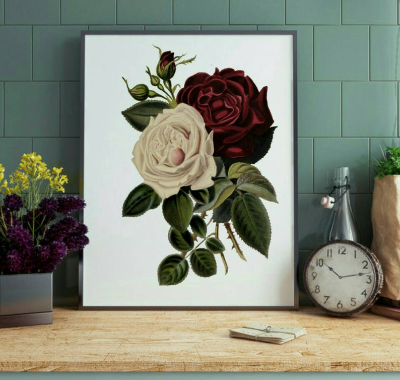 Red Rose Wall Art White Rose Print Instant Download Etsy