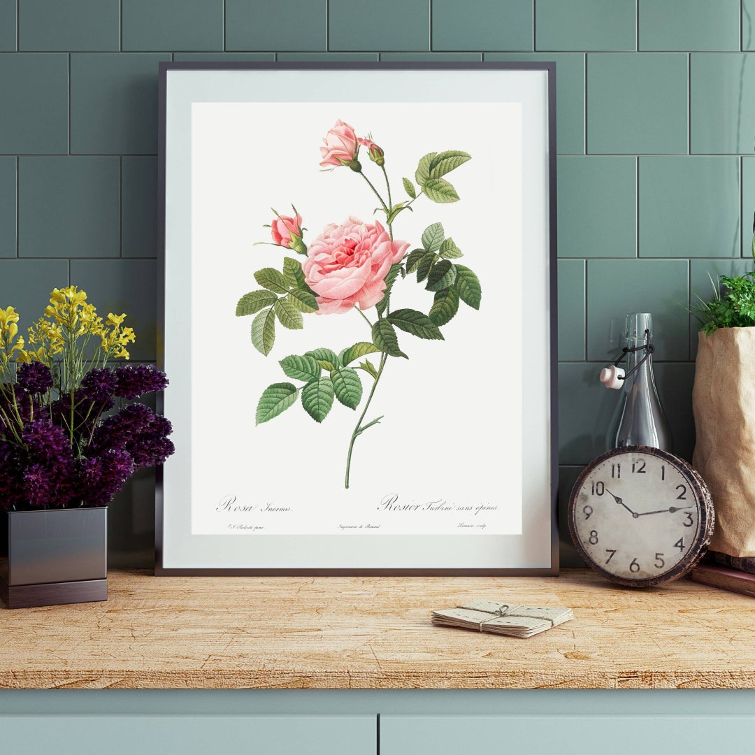 Vintage Pink Rose Print | Pink Rose Wall Art - Etsy