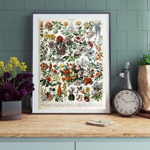 Adolphe Millot Floral Wall Art | Larousse Print