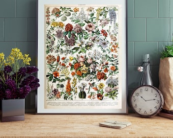 Adolphe Millot Floral Wall Art | Larousse Print