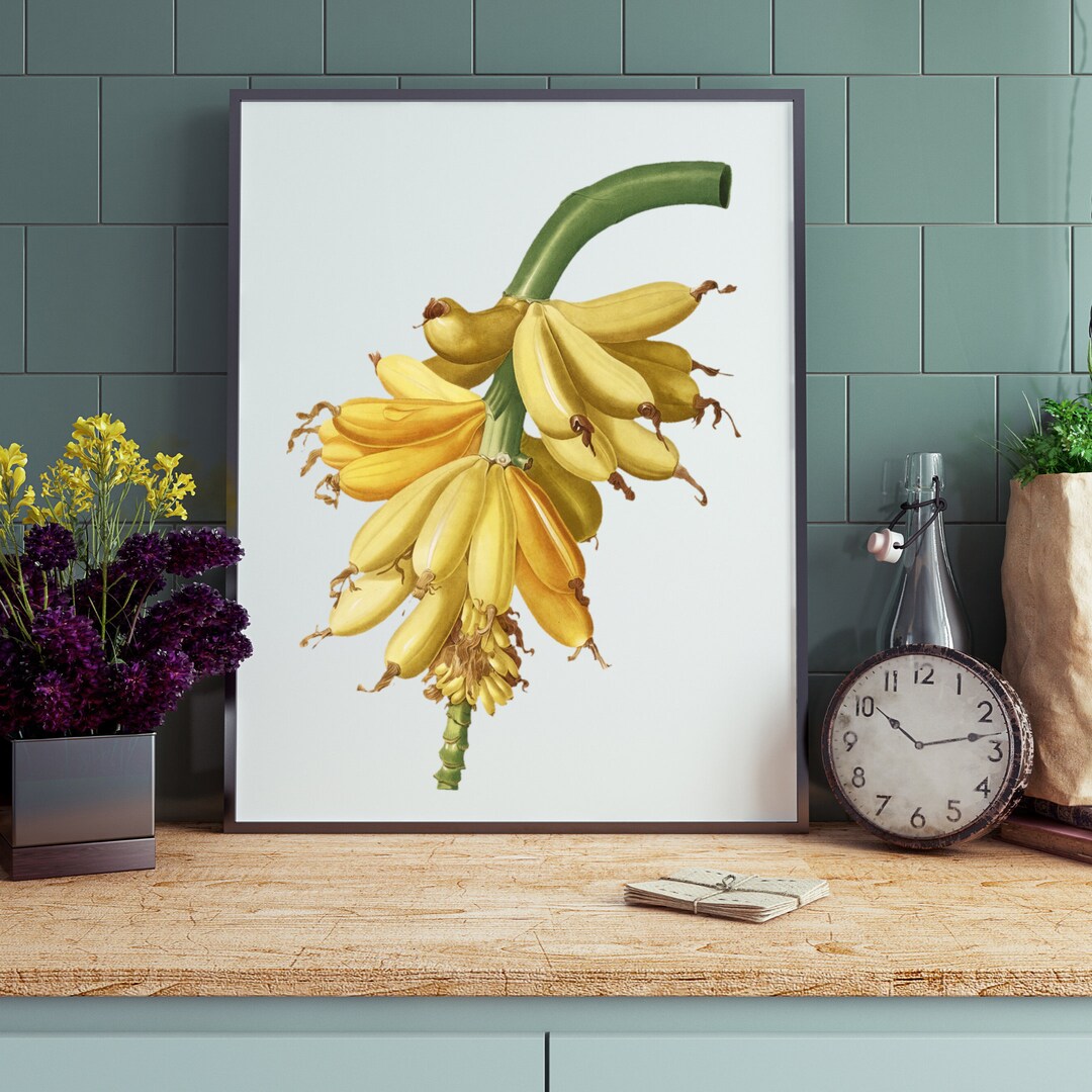Banana Wall Art Instant Download Etsy