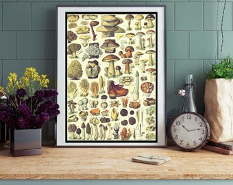 Vintage Mushroom Wall Art | Adolphe Millot Champignon