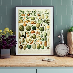 Vintage Fruit Poster, French Fruit Decor, French Botanical