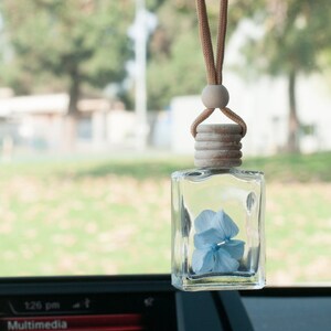 May include: A clear, rectangular car air freshener with a light blue flower inside, suspended by a brown cord and wooden bead. The wooden cap is visible. The background is blurred, showing a green landscape.