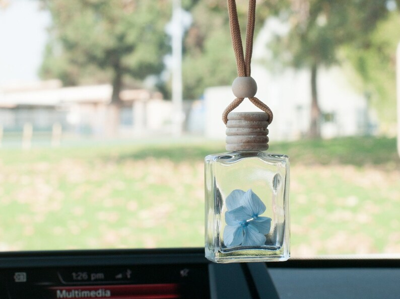 May include: A clear, rectangular car air freshener with a light blue flower inside, suspended by a brown cord and wooden bead. The wooden cap is visible. The background is blurred, showing a green landscape.