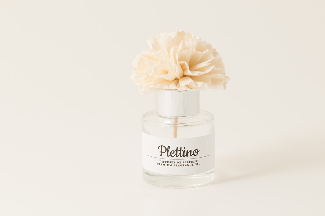 Flower Reed Diffuser/car Diffuser/dash Board Diffuser/car Perfume/car ...