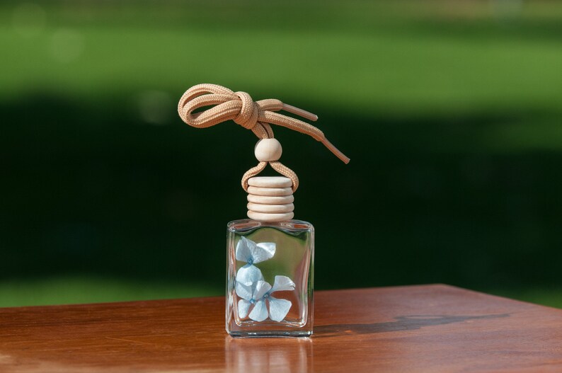 May include: A clear glass car air freshener bottle with light blue floral accents. The bottle has a wooden cap and a beige cord for hanging. The background is a blurred green, with the freshener resting on a wooden surface.