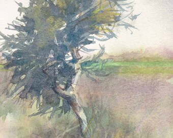 Shepherds Tree, African Landscape, Original Painting, donation to conservation, Alison Nicholls