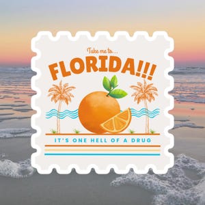 Portami in Florida!!! - Adesivo