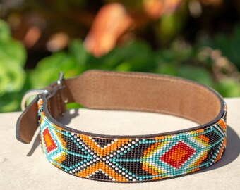 large bead dog collar