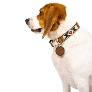 Pode incluir: Um c&atilde;o beagle branco e marrom usando uma coleira de couro marrom com um padr&atilde;o de contas e uma etiqueta de couro marrom. O c&atilde;o est&aacute; olhando para a esquerda do quadro.