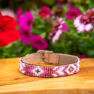 cat collar, leather cat collar, beaded cat collar, breakaway collar, cat collar bell, cat collar beads, aztec cat collar, for girl, for boy
