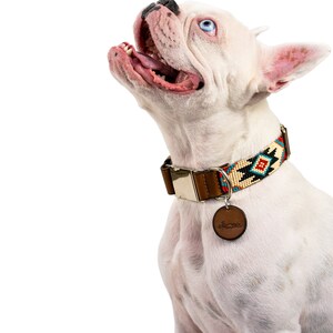 Pode incluir: Bulldogue franc&ecirc;s branco usando uma coleira de couro marrom com um padr&atilde;o de contas em vermelho, azul e amarelo. A coleira tem uma fivela de prata e uma etiqueta de couro marrom com o texto "The Handmade Dog Collar Co."