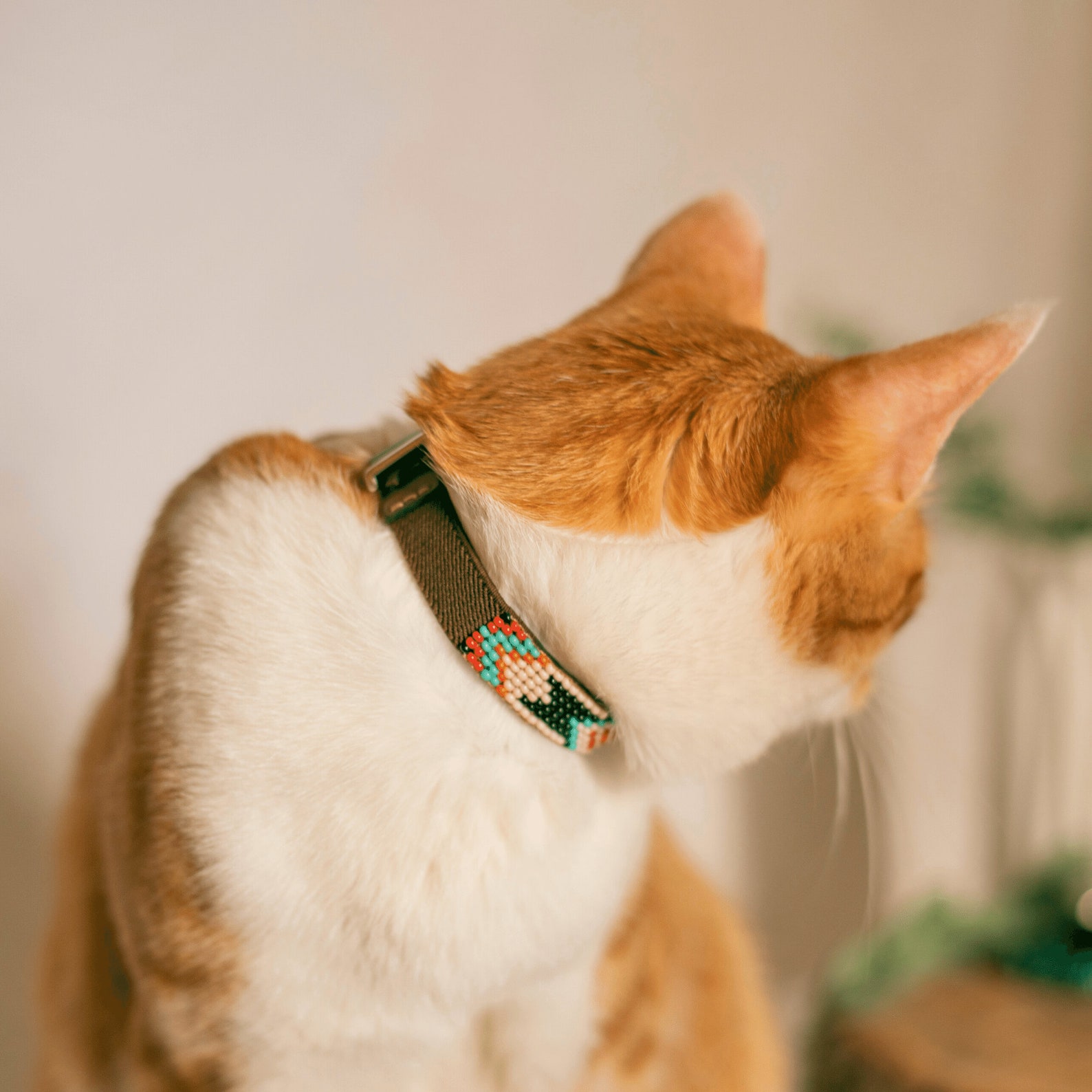 Cat Collar Leather Cat Collar Beaded Cat Collar Breakaway Etsy