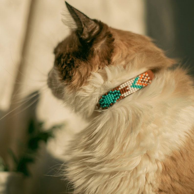 Cat collar leather cat collar beaded cat collar breakaway Etsy