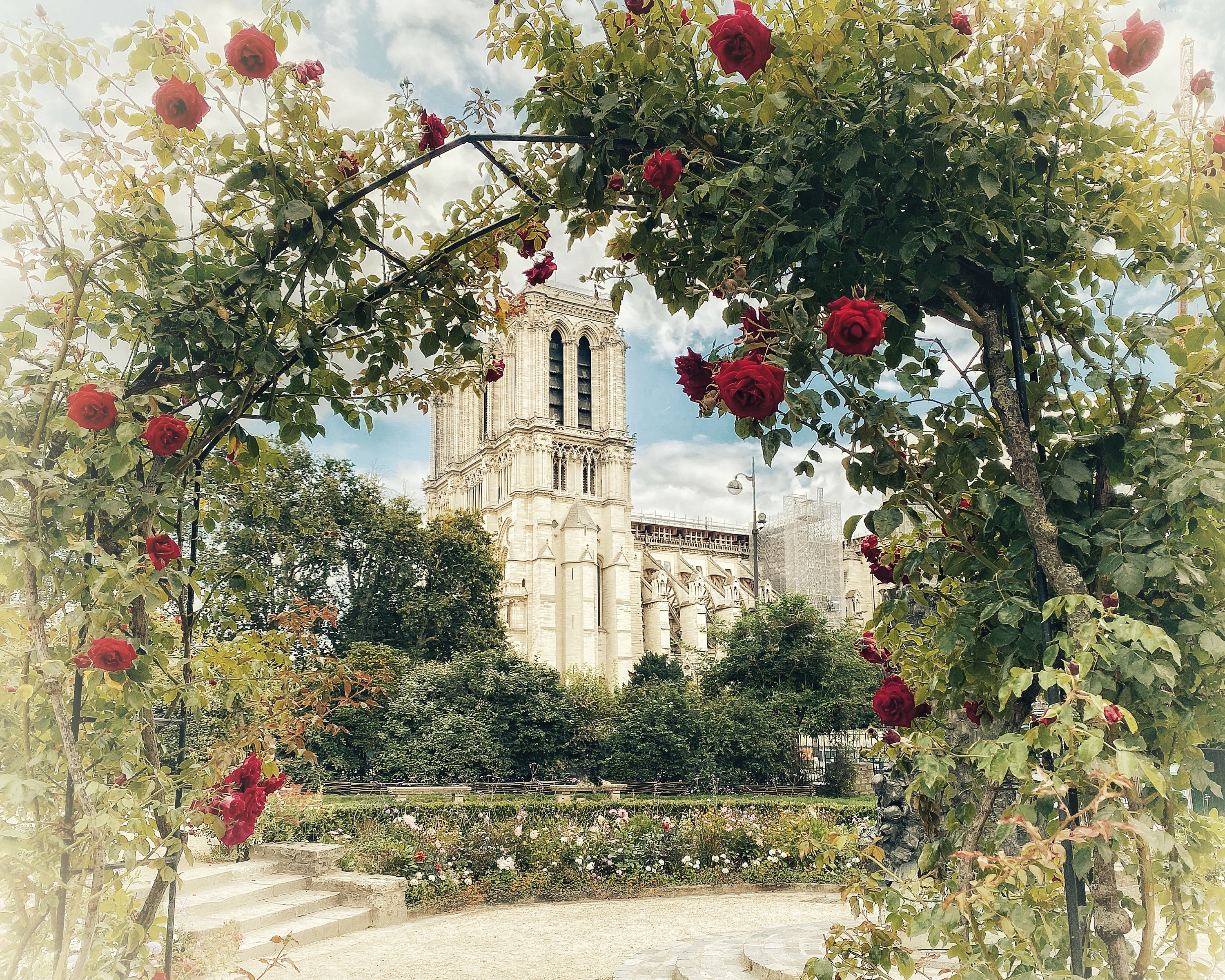 Notre Dame Rose Garden | Paris France Gothic Cathedral River Seine