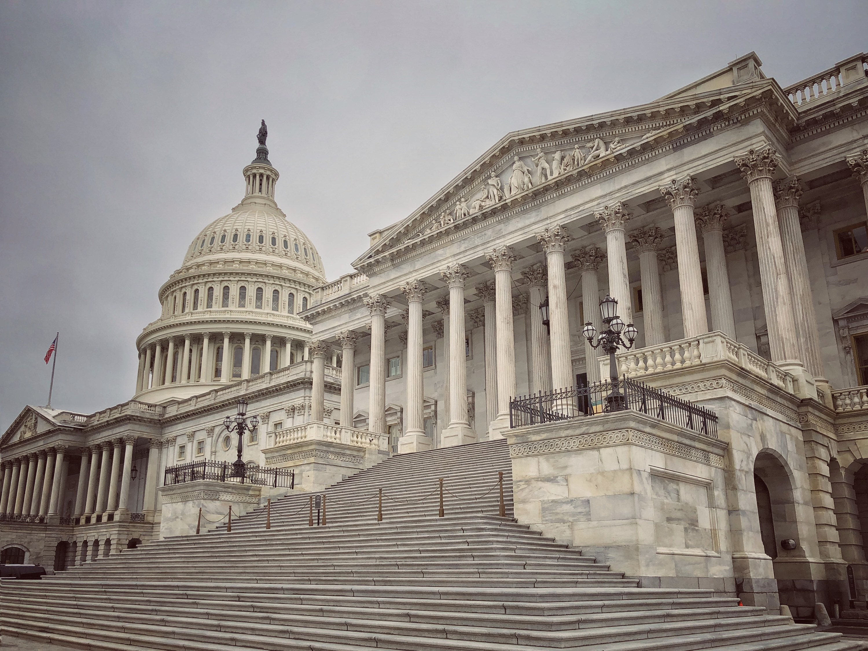 Capitol Steps United States Capitol Building Washington DC Etsy
