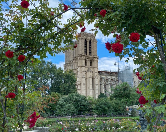 Nôtre Dame Rose Garden Paris France Gothic Cathedral River Seine