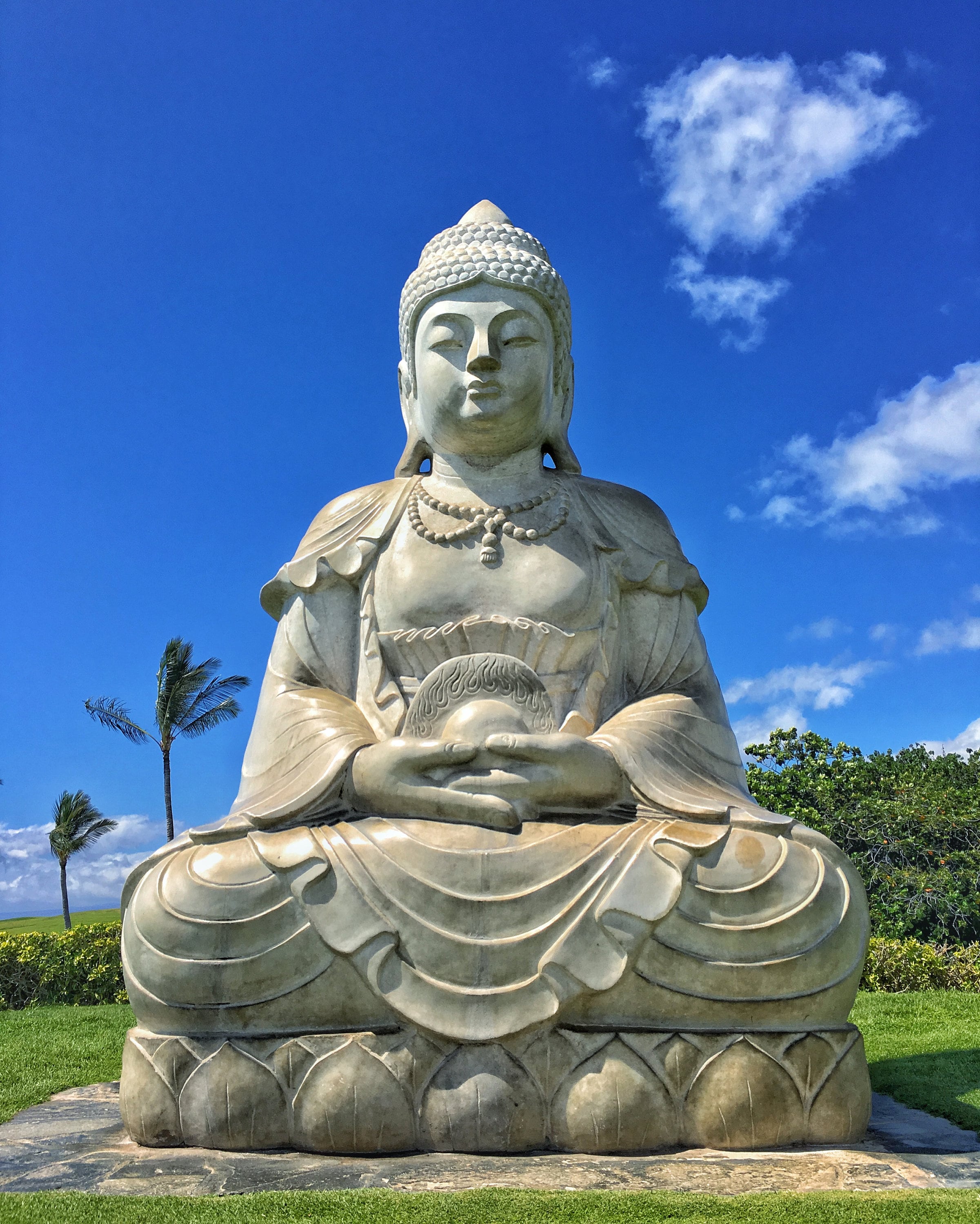 Buddha Point Buddhist Statue Sculpture Waikoloa Big Island Hawaii