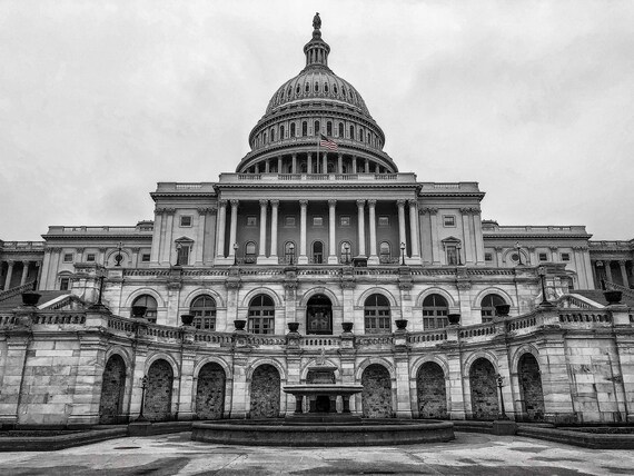 Zoom of picture of a coin or a banknote for currency USD (United States  Capitol)