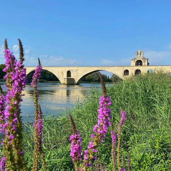 Pont Saint-Bénézet | Avignon Bridge Provence France | Hotel Décor | Restaurant Décor | Travel Photography