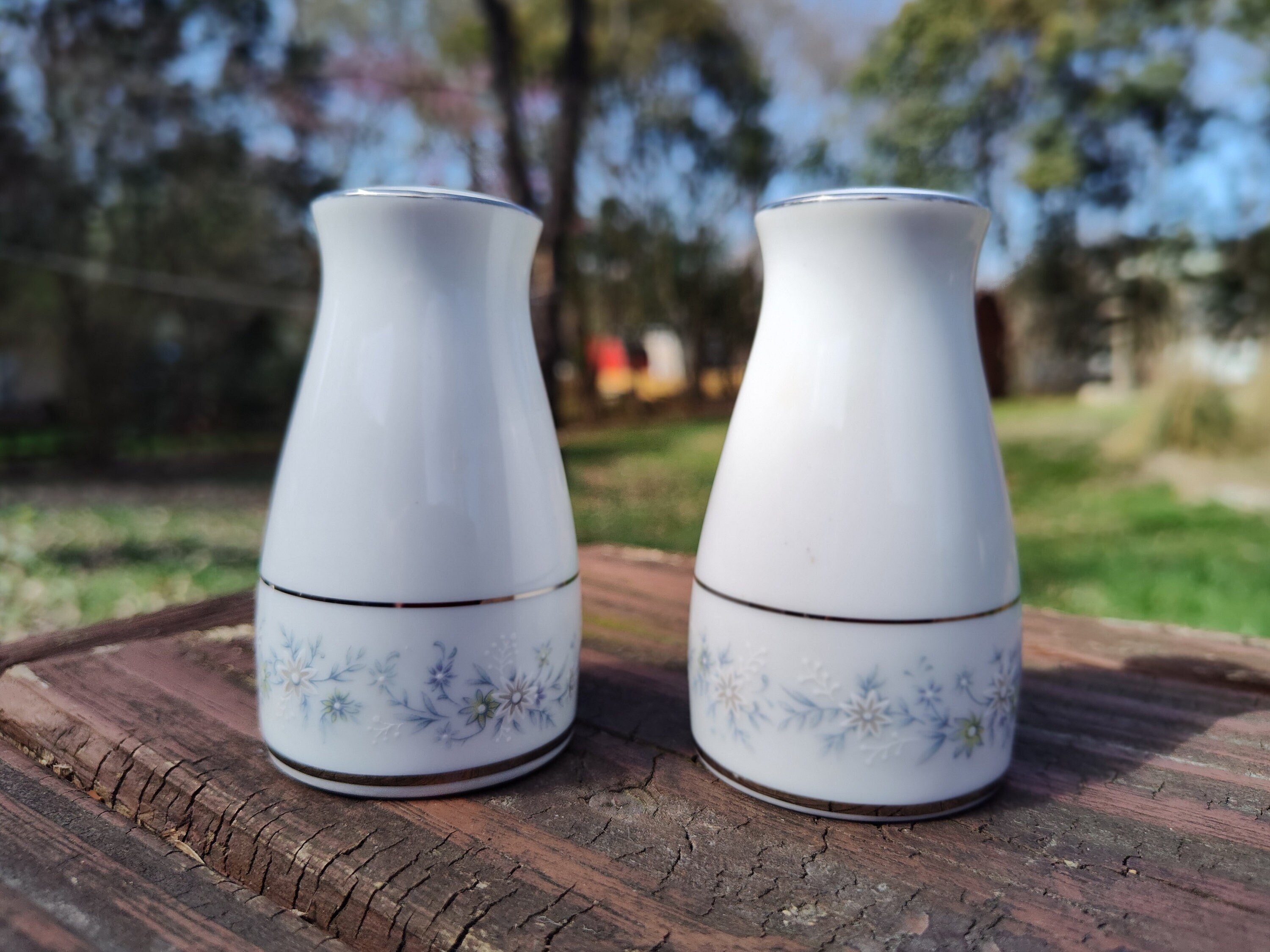 Noritake Salt Pepper - Etsy
