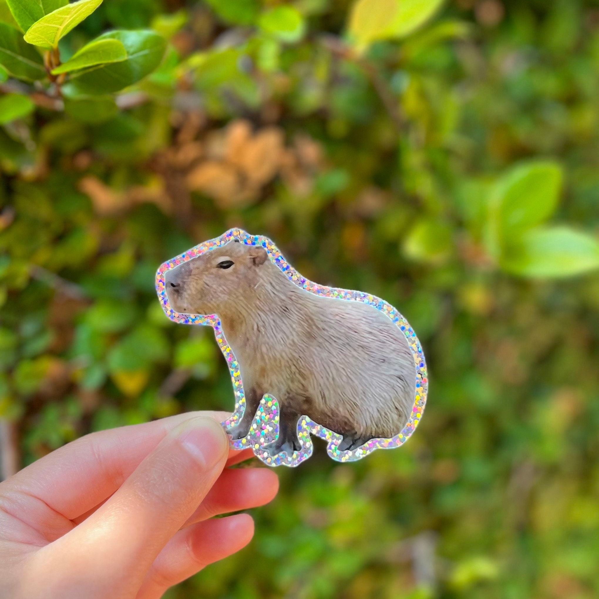 Crystal Capybara - Etsy