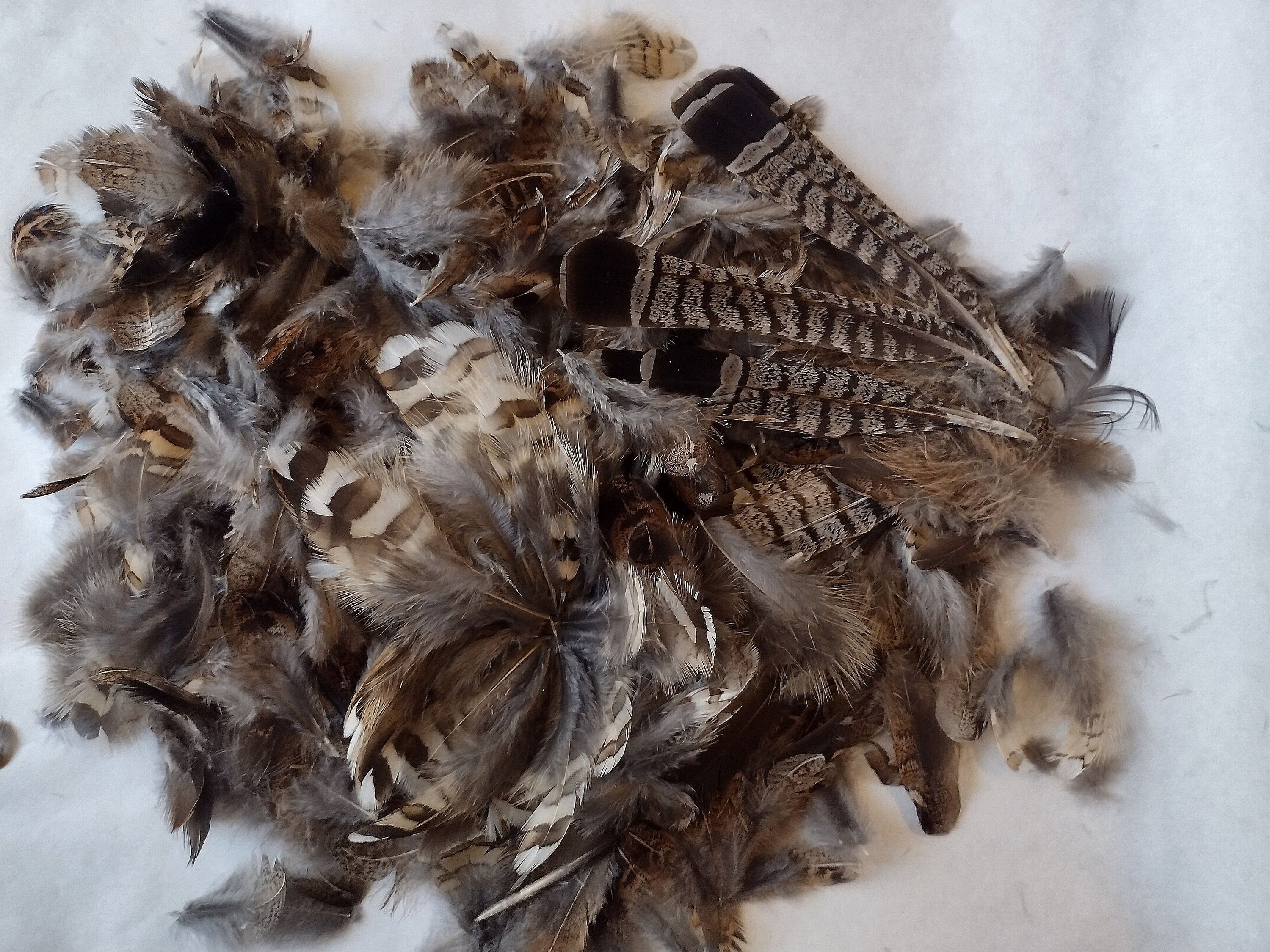 Utilizing Turkey Feathers for Fly Tying - Project Upland