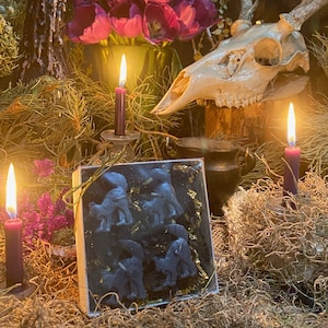 Scaredy Black Cat Tealight Candles + Gift Box + Black Arts + Gato Negro + Samhain + Halloween