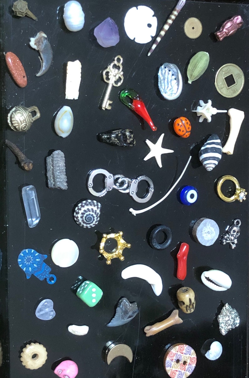 Medium Vintage Fargostein Tinned Travel Bone, Shell, and Trinket Divination Collection (40 Pieces) image 2