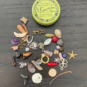 Medium Vintage Fargostein Tinned Travel Bone, Shell, and Trinket Divination Collection (40 Pieces) image 6