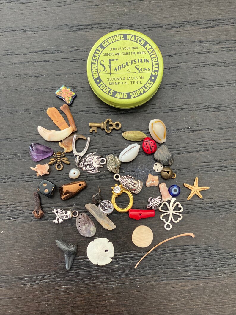 Medium Vintage Fargostein Tinned Travel Bone, Shell, and Trinket Divination Collection (40 Pieces) image 6