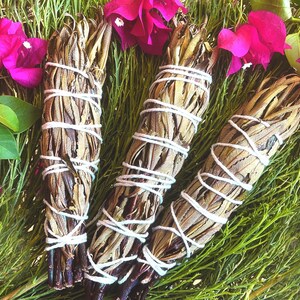 FRESH Wildcrafted Yerba Santa Torch / Bundle with Natural Hemp Twine + Eriodictyon californicum