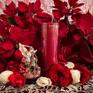 Belie Belcan Revocation Candle + Reverse Negativity + Destroy All Evil + Saint Michael + Protection & Justice + San Miguel