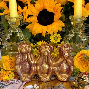Three Wise Monkeys Candle + Hear No Evil + See No Evil + Speak No Evil + Stop Gossip & Jealousy + Wishes + Hide Spells