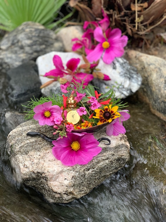 Anaisa Pye Sauco Oil + Psychic + Joan of Arc - Etsy