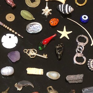 Medium Vintage Fargostein Tinned Travel Bone, Shell, and Trinket Divination Collection (40 Pieces) image 4